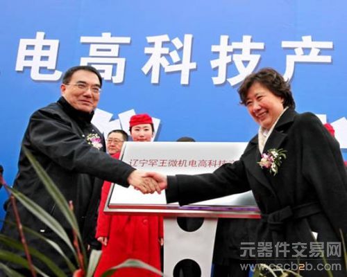《国际电子商情》