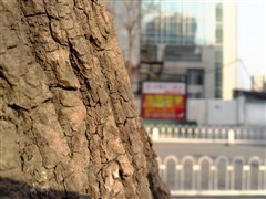 4.7英寸屏棱角外观 LG Optimus L9评测34