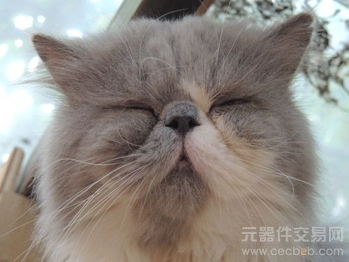 专业操控全面升级 专业DC尼康P7700评测4