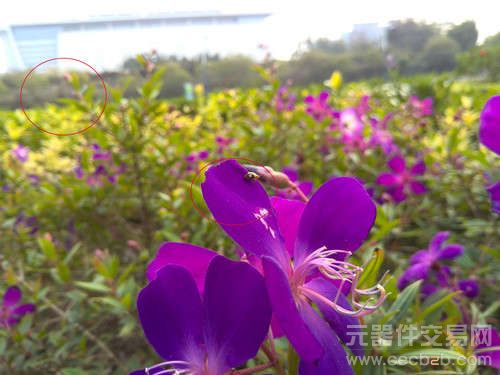 5寸1080p屏 C+G双卡海思四核华为D2评测8