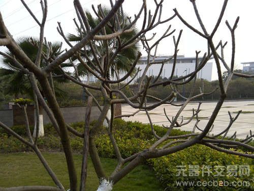 5寸1080p屏 C+G双卡海思四核华为D2评测12