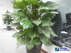 又添5英寸大屏! 双卡三星I9082评测6