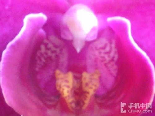 双触屏翻盖智能机 td版飞利浦T939评测8