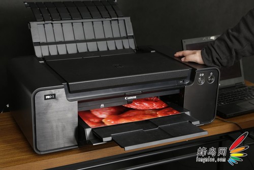 好照片要打出来 佳能PRO-1专业A3+评测4