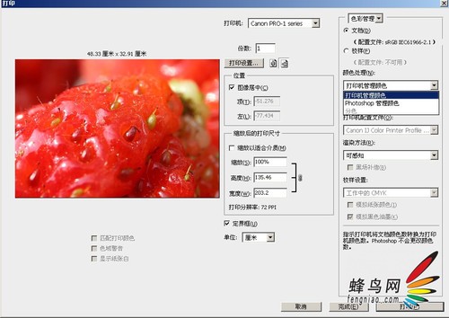 好照片要打出来 佳能PRO-1专业A3+评测2