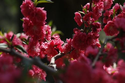 扎实可靠 适马S120-300mm/2.8速发试用2