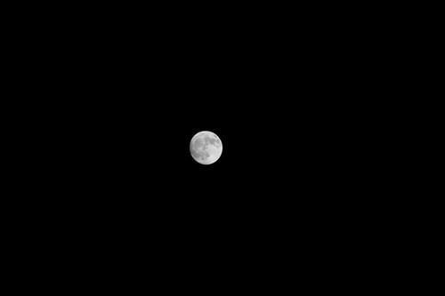 扎实可靠 适马S120-300mm/2.8速发试用1