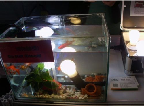 [独家]水下照明的液冷LED光源