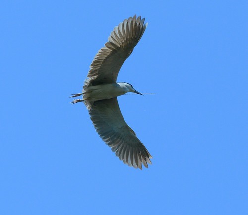 全能搭配 Coolpix A与D7100试用感受1