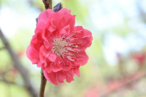 全能搭配 Coolpix A与D7100试用感受3