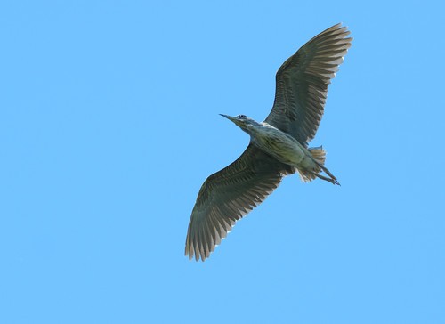全能搭配 Coolpix A与D7100试用感受3