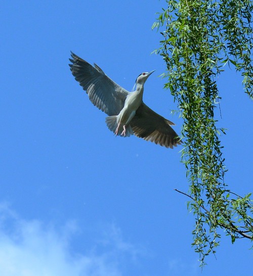 全能搭配 Coolpix A与D7100试用感受2
