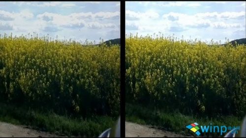 镜头大比拼 诺记808 PureView对Lumia 925/9281