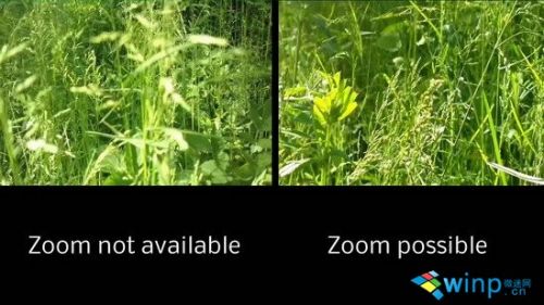 镜头大比拼 诺记808 PureView对Lumia 925/9283