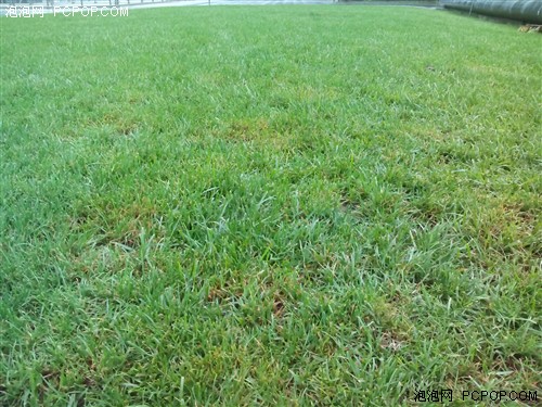 移动TD/四核/性价比高 TCL J900T评测8