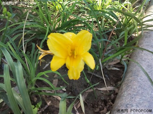 移动TD/四核/性价比高 TCL J900T评测7