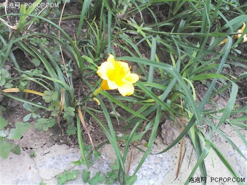 千元四核畅享极速网络 酷派7269评测11