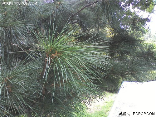 千元四核畅享极速网络 酷派7269评测7