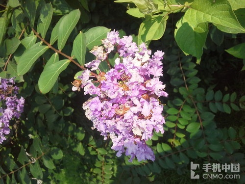  8英寸纤薄便携 三星Galaxy Tab 3评测4