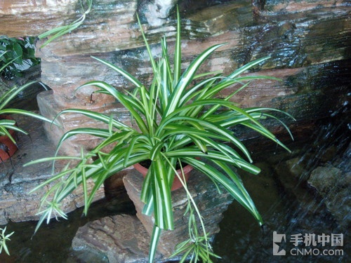 1300万像素前置自拍神器 ThL美猴王评测13