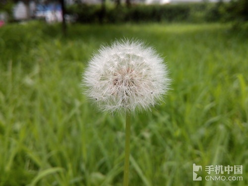 1300万像素前置自拍神器 ThL美猴王评测12