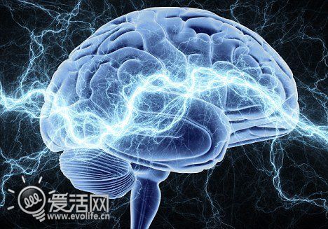 记忆也能操纵:科学家成功为小鼠制造虚假记忆_焦点新闻_元器件交易网