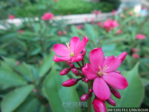 十倍光学变焦 三星 Galaxy S4 Zoom 拍摄评测26