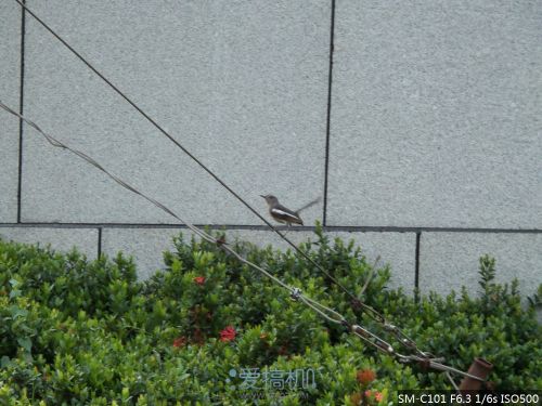 十倍光学变焦 三星 Galaxy S4 Zoom 拍摄评测35