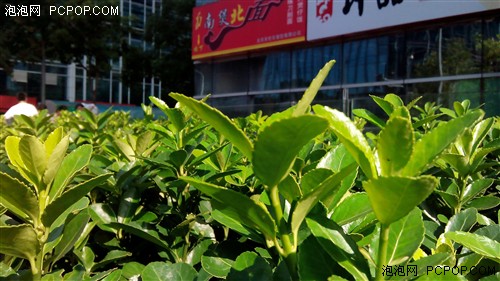  5.5英寸屏/极速21M 酷派7296首发评测6