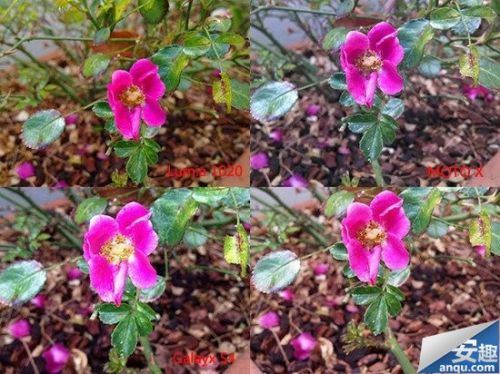 Lumia 1020相机表现优于三星GS4与iPhone54