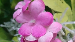 三星Mega6.3、索尼Xperia ZU L39h拍照对比13