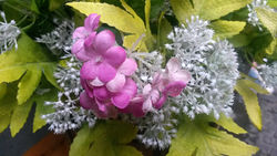 三星Mega6.3、索尼Xperia ZU L39h拍照对比10