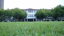 三星Mega6.3、索尼Xperia ZU L39h拍照对比7