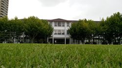 三星Mega6.3、索尼Xperia ZU L39h拍照对比6