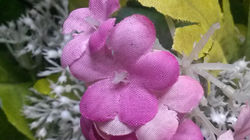 三星Mega6.3、索尼Xperia ZU L39h拍照对比12