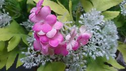 三星Mega6.3、索尼Xperia ZU L39h拍照对比11