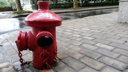 三星Mega6.3、索尼Xperia ZU L39h拍照对比31