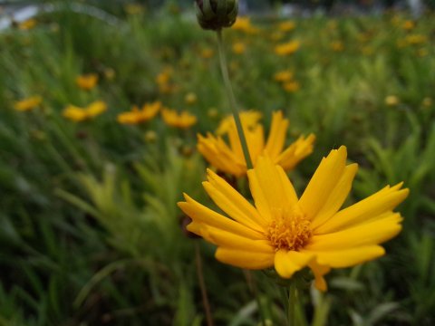 魅族MX3评测 配三星Exynos 5410八核芯片 65 魅族MX3评测 配三星Exynos 5410八核芯片 65