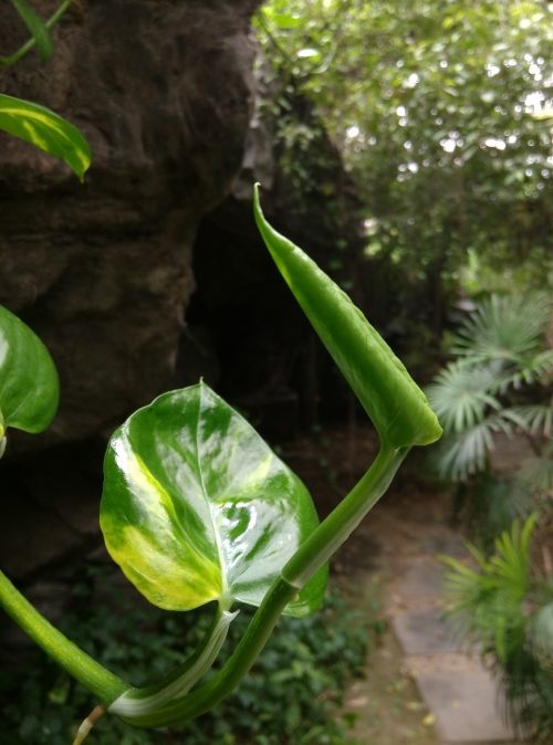 从芯开始改变 小米3手机使用评测1
