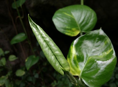 从芯开始改变 小米3手机使用评测4