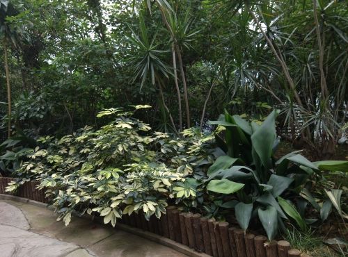 从芯开始改变 小米3手机使用评测5