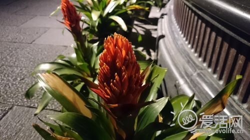 满满的索尼味 审视站在独木桥上的Xperia Z1 L39h32
