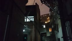 满满的索尼味 审视站在独木桥上的Xperia Z1 L39h35