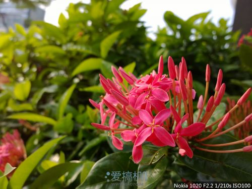 超级像素 诺基亚 Lumia 1020 拍摄评测24