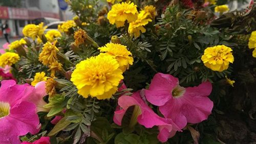 HTC butterfly S评测:像塑料壳版One 5 HTC butterfly S评测:像塑料壳版One 5