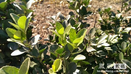 HTC Butterfly s评测:One系列另类诠释5 HTC Butterfly s评测:One系列另类诠释5