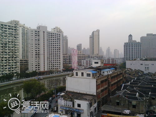 清爽可口果冻味 品尝诺基亚Asha 502小透明（图）6