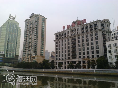 清爽可口果冻味 品尝诺基亚Asha 502小透明（图）3