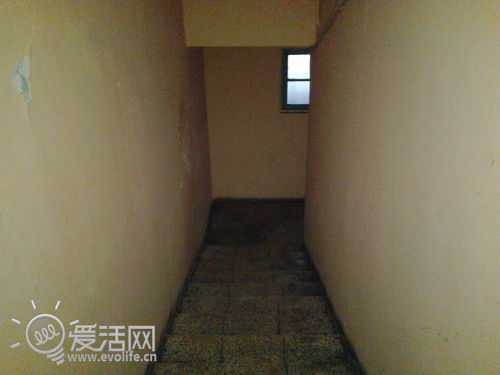 清爽可口果冻味 品尝诺基亚Asha 502小透明（图）5