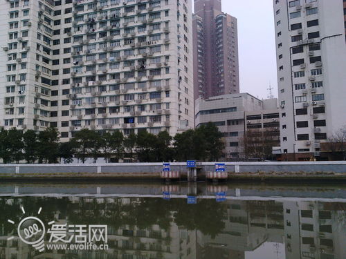 清爽可口果冻味 品尝诺基亚Asha 502小透明（图）2